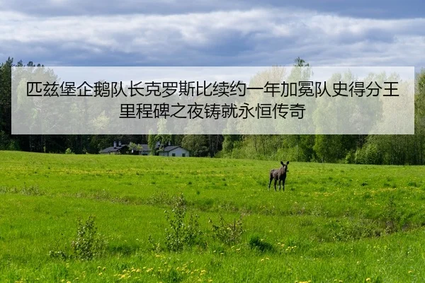 匹兹堡企鹅队长克罗斯比续约一年加冕队史得分王 里程碑之夜铸就永恒传奇