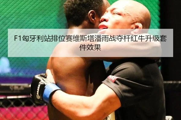 xiong-ya-li-zhan-pai-wei-sai-wei-si-ta-pan-yu-zhan-duo-gan-hong-niu-sheng-ji-tao-jian-xiao-guo-2-410.jpg